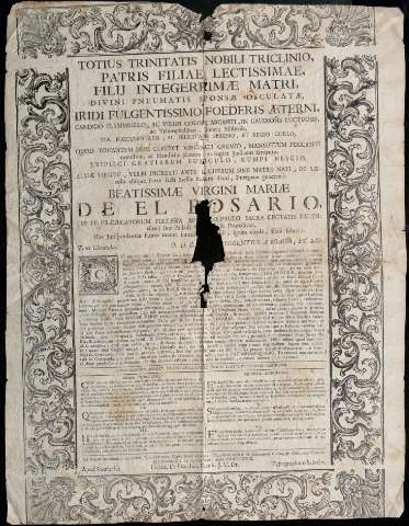 Imagen del registro