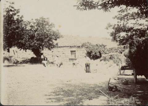 Imagen del registro