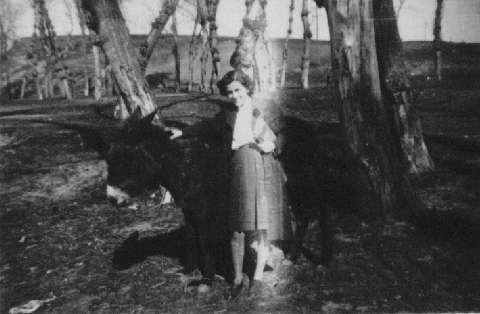 Image de la couverture