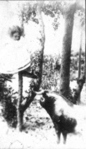 Image de la couverture