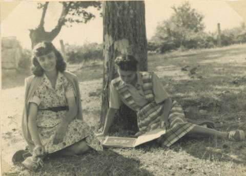 Image de la couverture