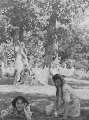 Image de la couverture