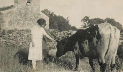 Image de la couverture