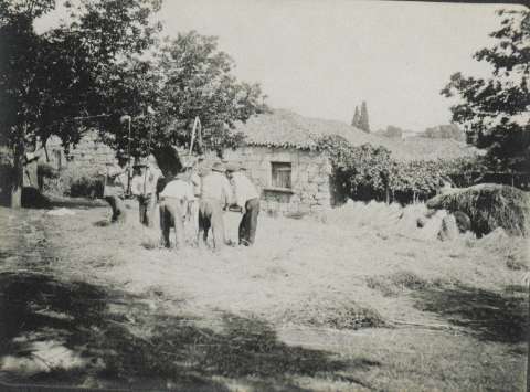 Image de la couverture
