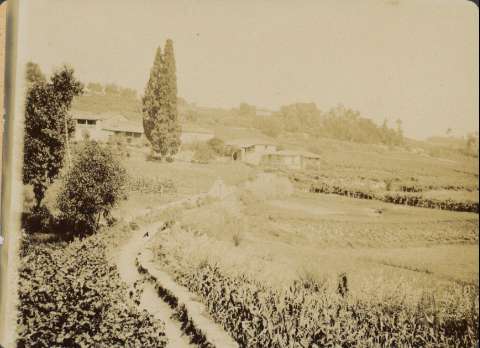 Image de la couverture