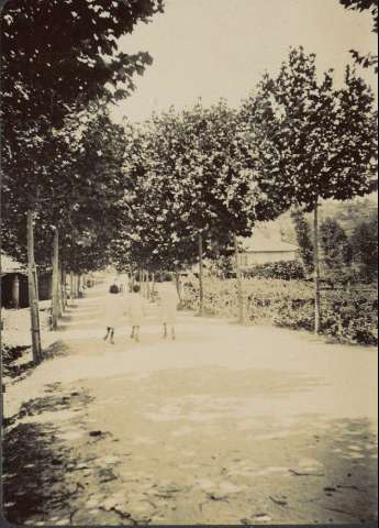 Image de la couverture