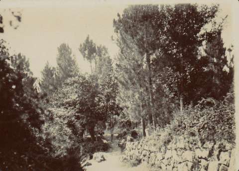 Image de la couverture