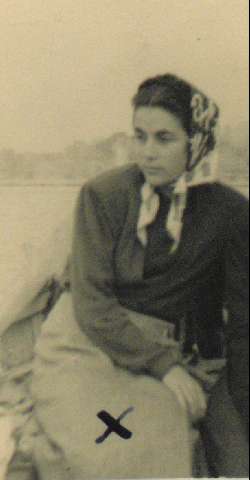 Image de la couverture