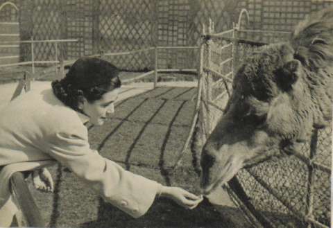 Image de la couverture
