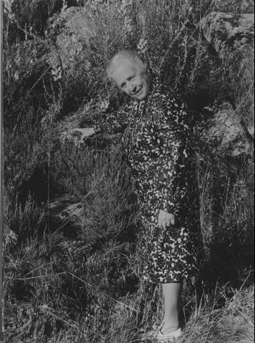 Image de la couverture