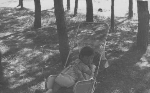 Image de la couverture