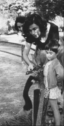Image de la couverture