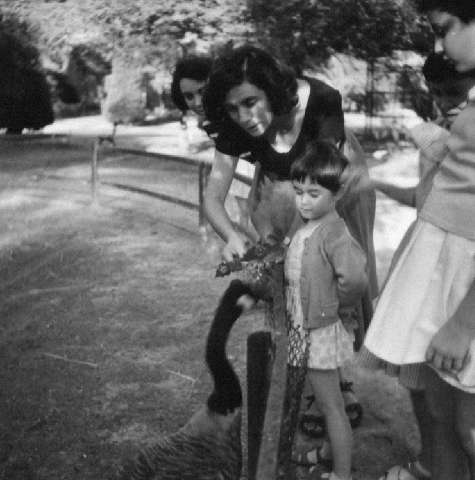 Image de la couverture