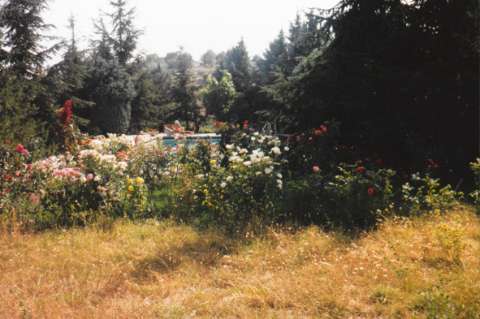 Image de la couverture