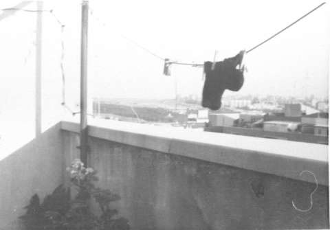 Image de la couverture