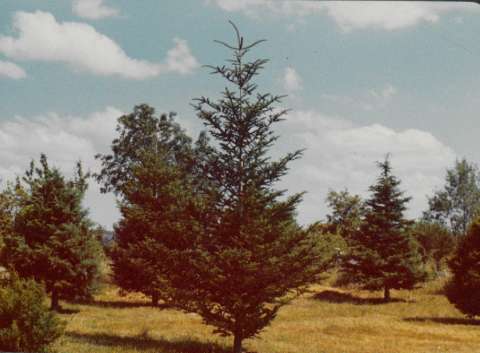 Image de la couverture