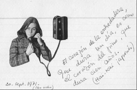 Imagen del registro