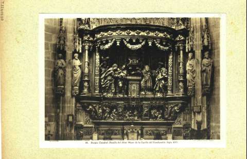 Imagen del registro