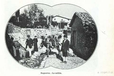 Imagen del registro