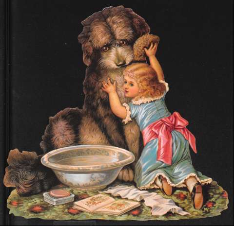 Image de la couverture