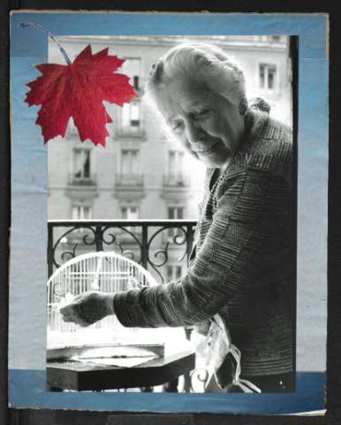 Image de la couverture