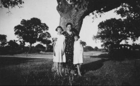Image de la couverture