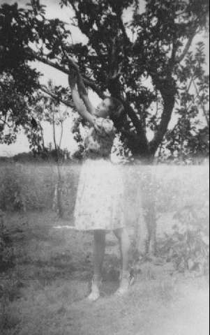 Image de la couverture