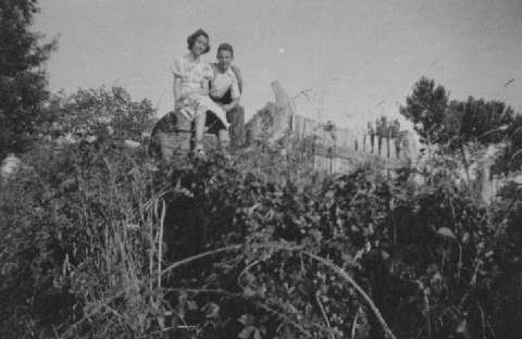 Image de la couverture