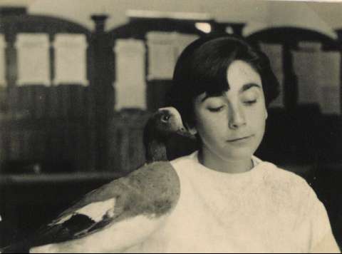 Image de la couverture