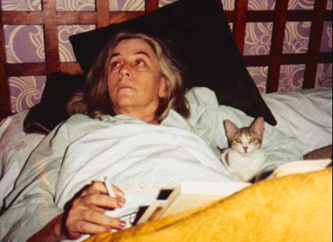 Image de la couverture