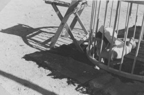 Image de la couverture