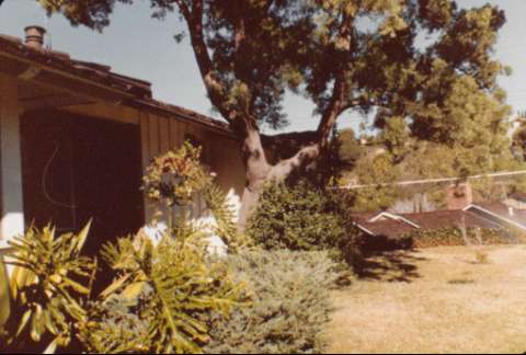 Image de la couverture