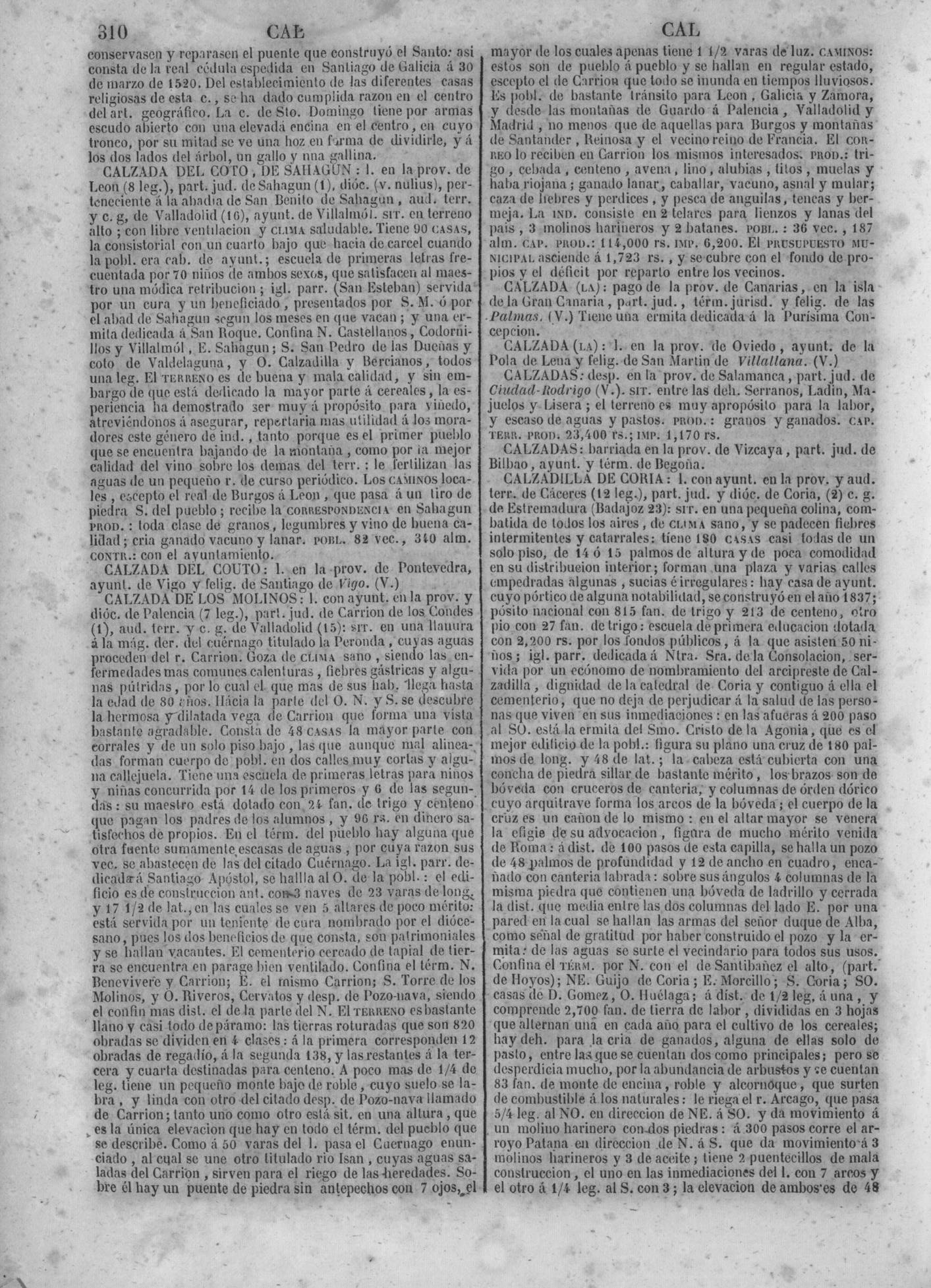 313
