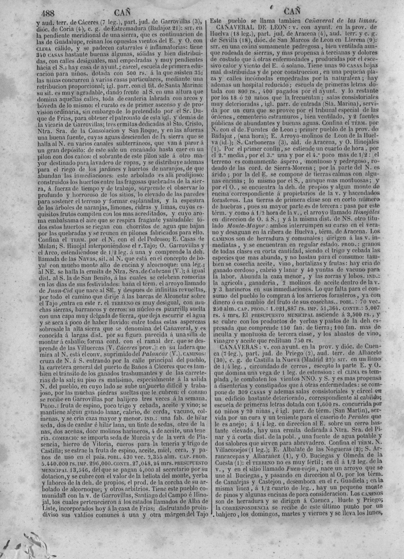 491