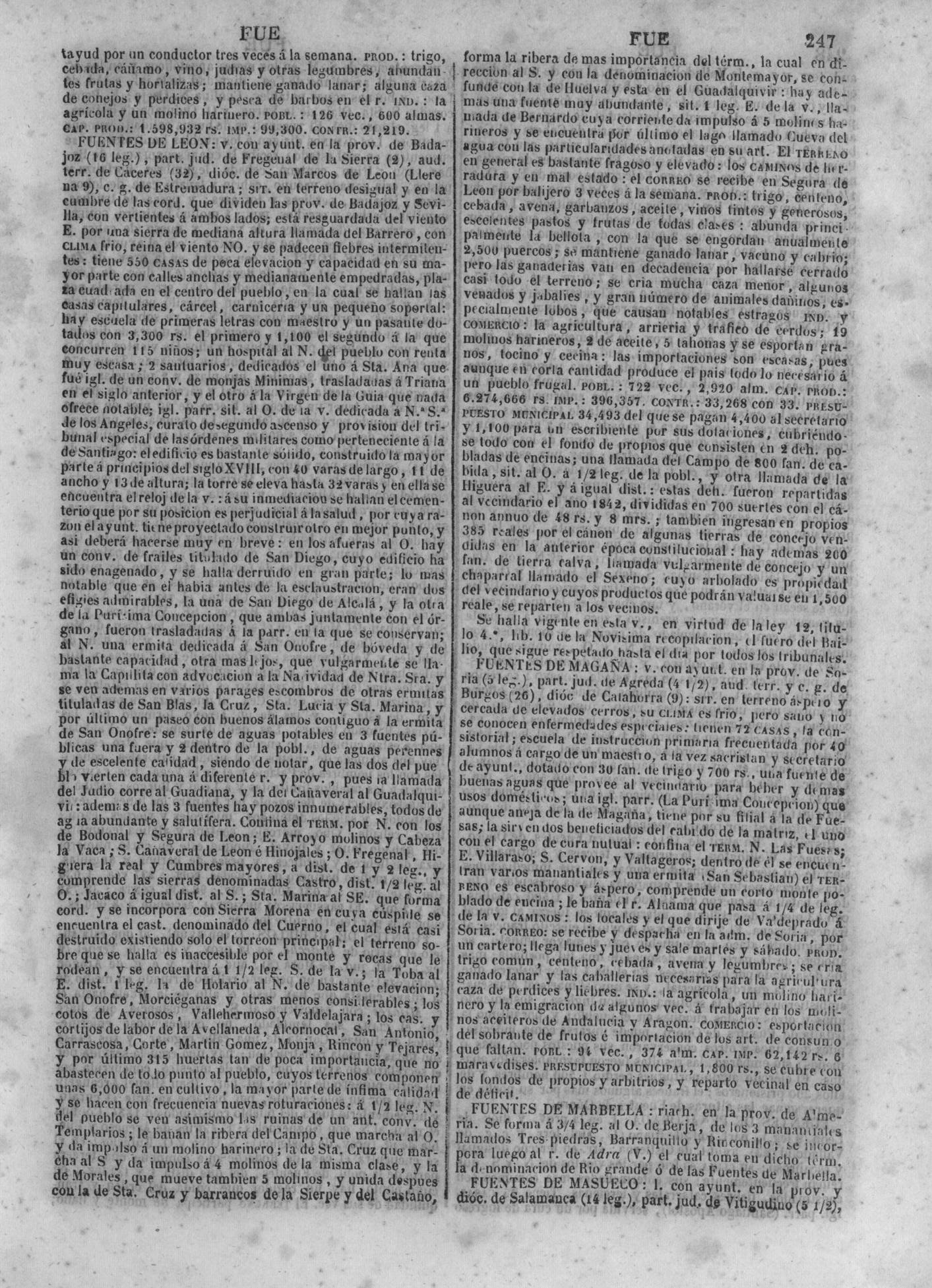 250