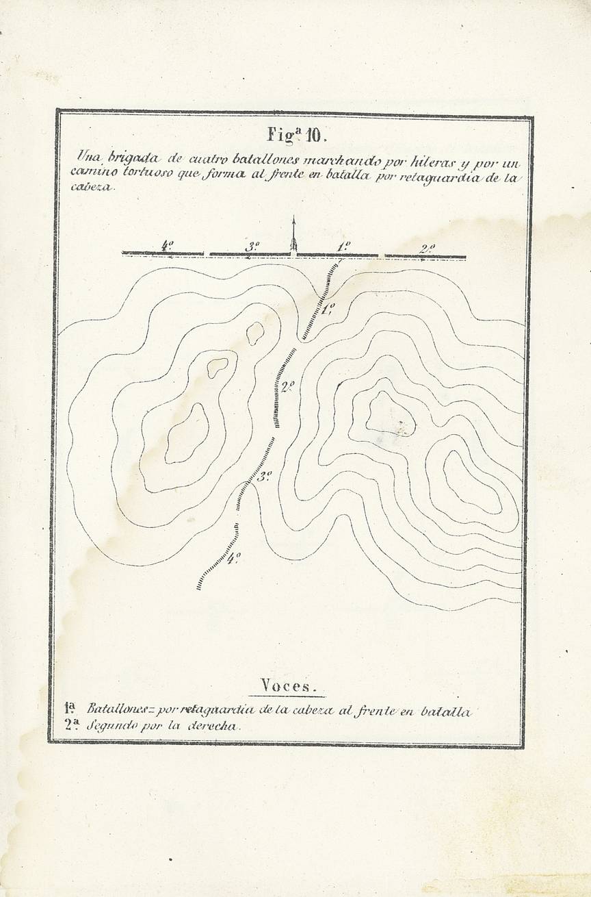 Fig. 10