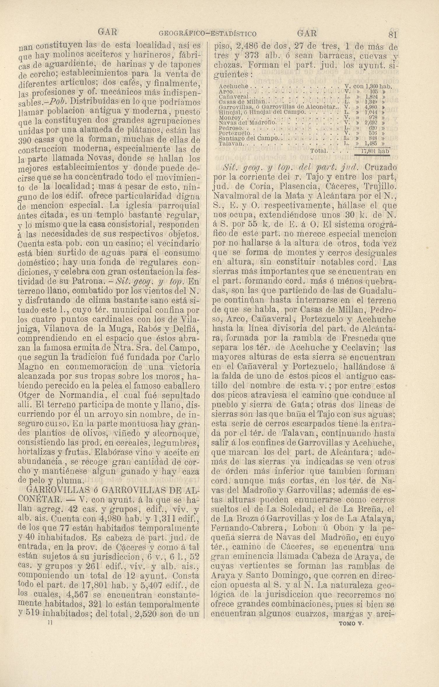 81