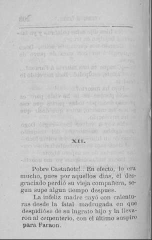 204