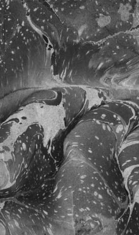 [Guarda]