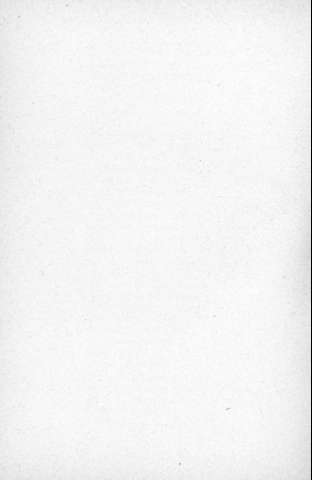 204