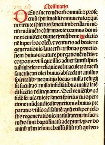 Fo.xvi v