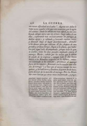 256