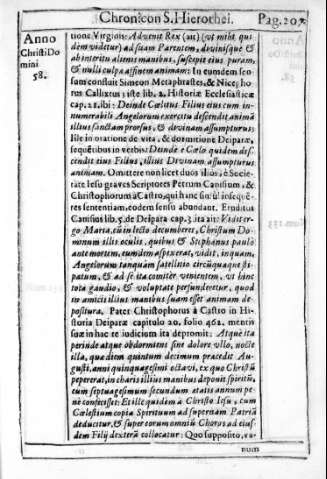 Pag. 207