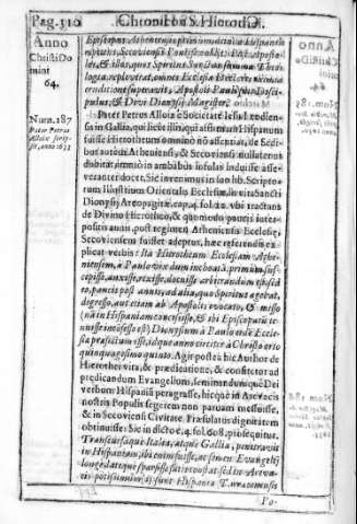 Pag. 310
