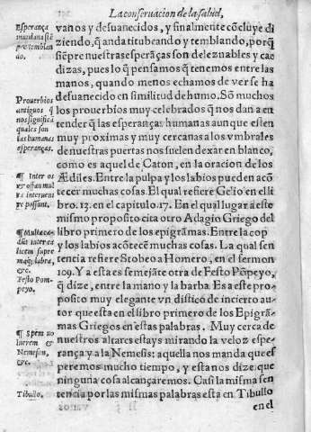 251v