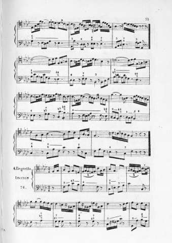 53