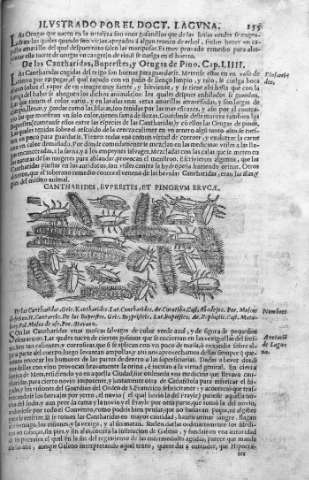 215