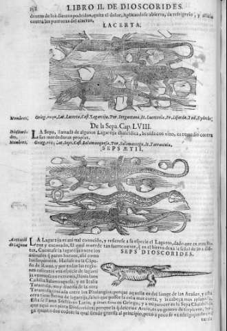 218