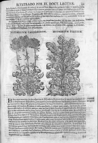 271