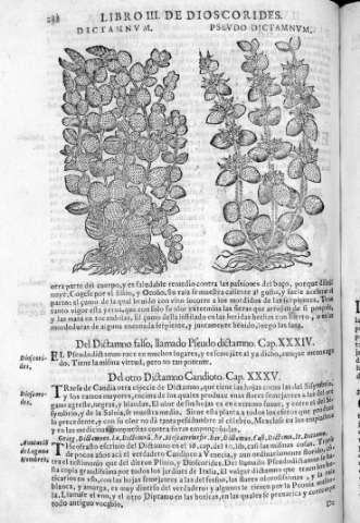 348